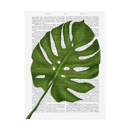 Fab Funky 'Monstera Leaf 1, Green On White' Canvas Art,14x19